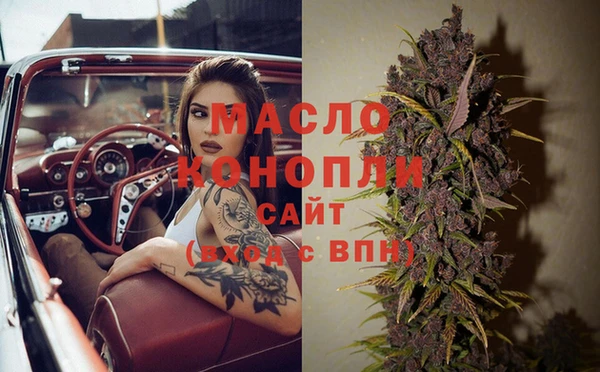 дмт Каменка
