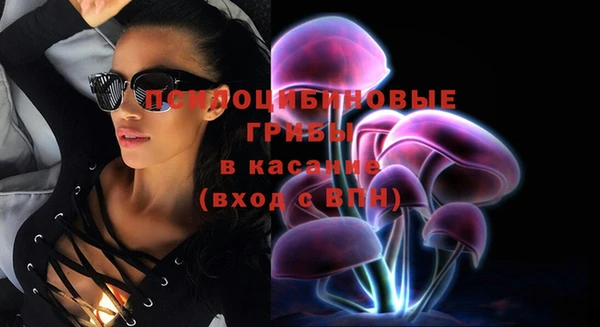 дмт Каменка
