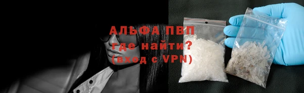 дмт Каменка