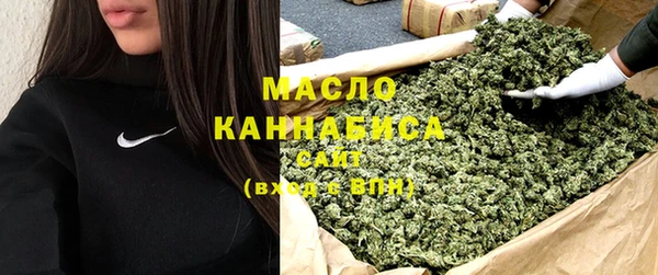 дмт Каменка