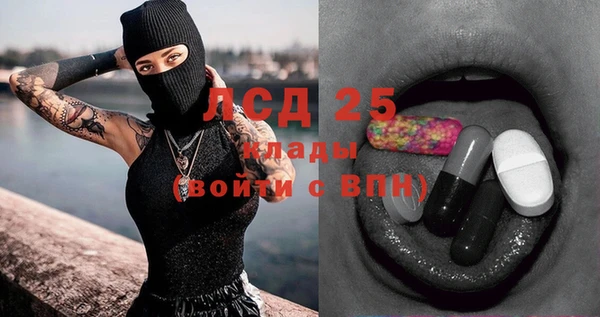 дмт Каменка