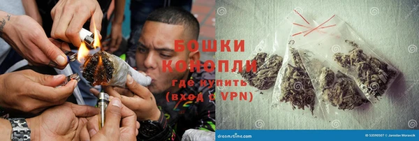 дмт Каменка